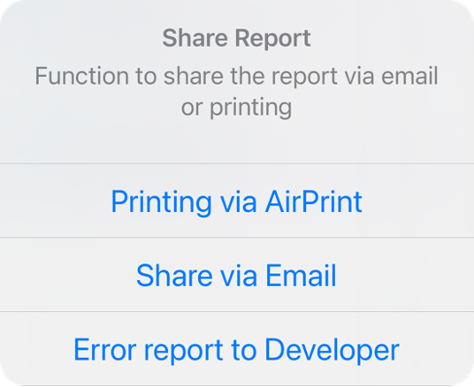 report-06-en